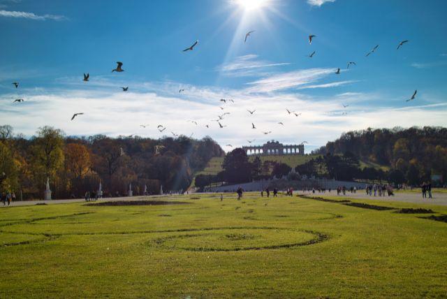 ההיסטוריה והייעוד של הגלורייטה בארמון שנברון