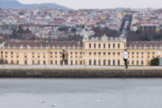 חדרי אורחים ואירוח רשמי בארמון שנברון