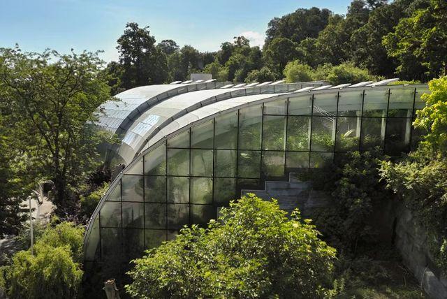 כרטיסי כניסה לגן החיות של ארמון שנברון כולל דילוג על התורים credit to headout.com