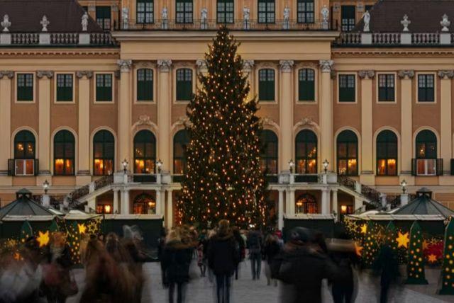 כרטיסי כניסה לארמון שנברון כולל דילוג על התורים + ארוחת צהריים במסעדת Joseph II credit to tiqets.com