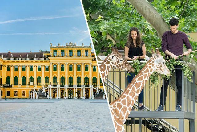 כרטיס משולב: כניסה לארמון שנברון + כניסה לגן החיות credit to headout.com