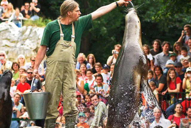 כרטיס משולב: כניסה לארמון שנברון + כניסה לגן החיות credit to headout.com