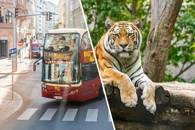 כרטיס משולב לגן החיות של ארמון שנברון + אוטובוס התיירים של וינה + ארמון בלוודר credit to headout.com