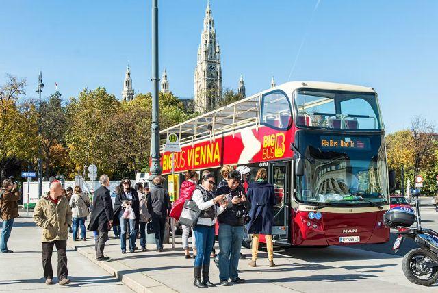 כרטיס משולב לגן החיות של ארמון שנברון + אוטובוס התיירים של וינה + ארמון בלוודר credit to headout.com