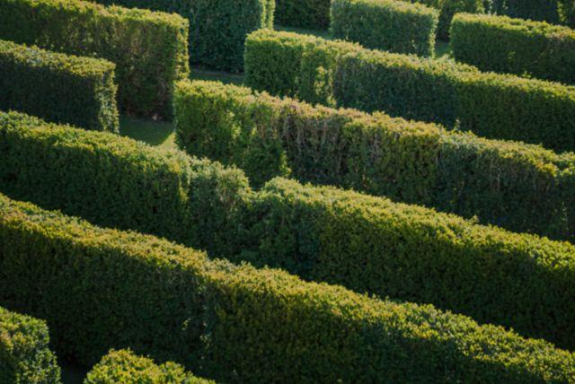 מבוך שנברון (Maze & Labyrinth) בארמון שנברון