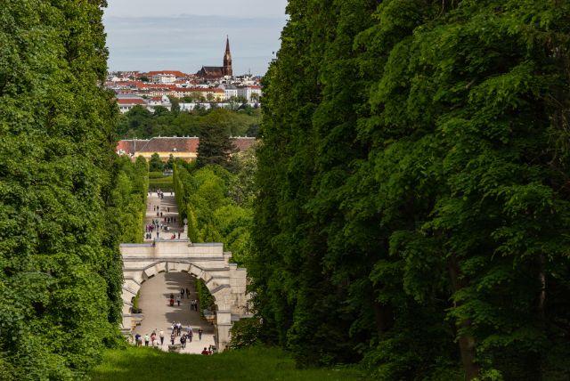 מבוך ארמון שנברון