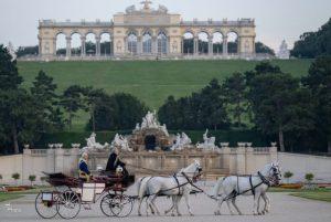 טיול עם כרכרה וסוסים ברחבי גני שנברון credit to getyourguide.com