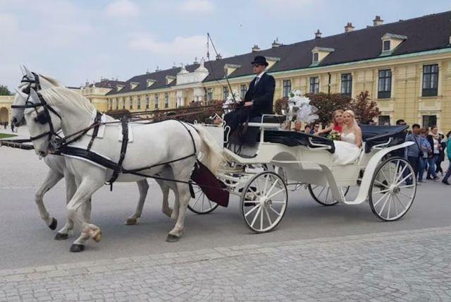 טיול עם כרכרה וסוסים ברחבי גני שנברון credit to getyourguide.com