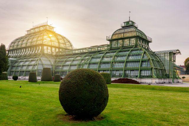 בית הדקלים (Palmenhaus) בארמון שנברון