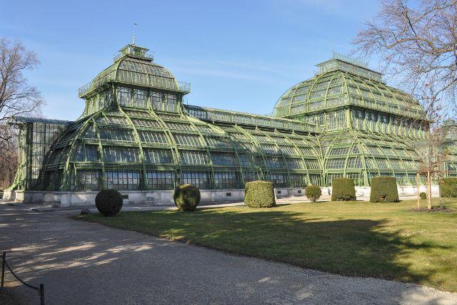 בית הדקלים (Palmenhaus) בארמון שנברון