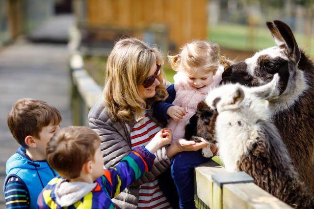 ביקור בארמון שנברון עם ילדים credit to getyourguide.com