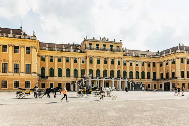 כרטיסים לסיור ברכבת של ארמון שנברון בוינה credit to getyourguide.com