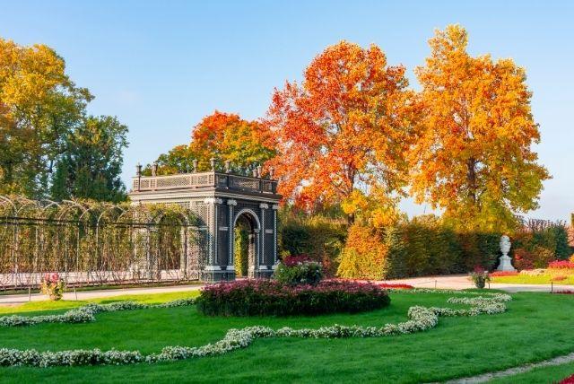 אירועים מיוחדים ותערוכות במוזיאונים המפורסמים של וינה ובארמונות החשובים