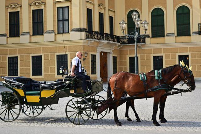 ארמון שנברון כאתר מורשת עולמית של אונסק"ו