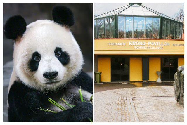 ארמון שנברון גן חיות credit to headout.com