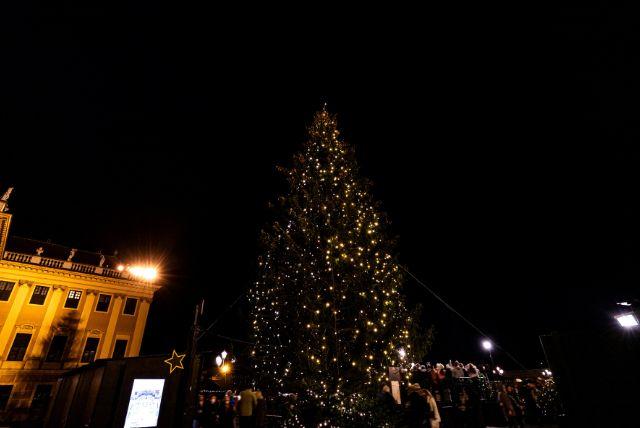 אירוע חג המולד בערב בגני ארמון שנברון
