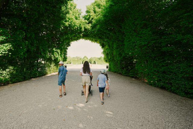 איך הארמון “מדבר” אל המבקר